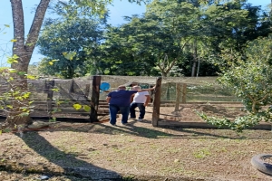 Secretaria de Agricultura de Barra do Piraí visita propriedade em Ipiabas para conhecer o projeto “Do cafezinho ao Cafezal” 